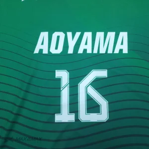 AOYAMA-high-school_GK2