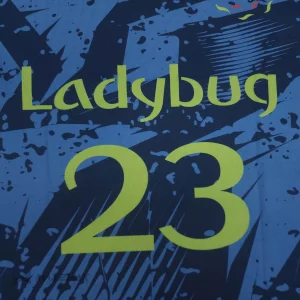 Ladybug1