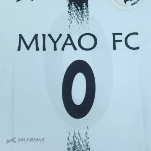 MIYAO-FC4