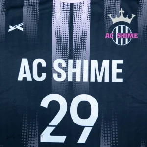 AC-SHIME2