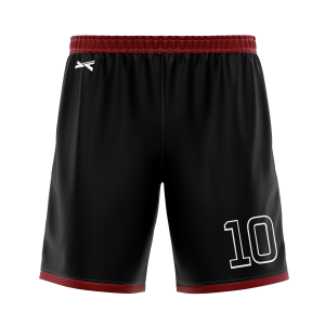 YNI1009-4