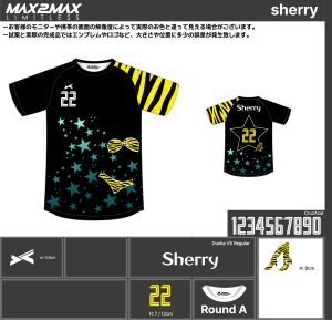 230809_sherry_サッカー見積書