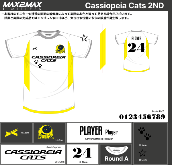 240423_Cassiopeia Cats_2ndサッカー追加見積書 - 画像 (2)