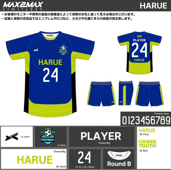 250422_HARUE_サッカー追加見積書 - 画像 (2)