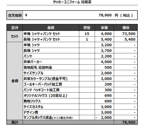 240807_VIRGINITE_サッカー見積書