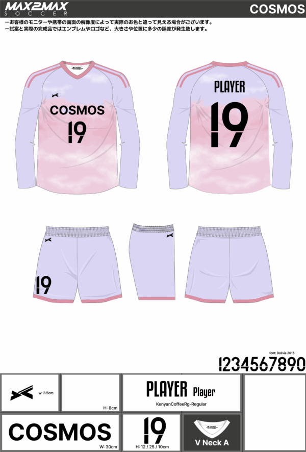 250417_COSMOS_サッカー見積書 - 画像 (2)