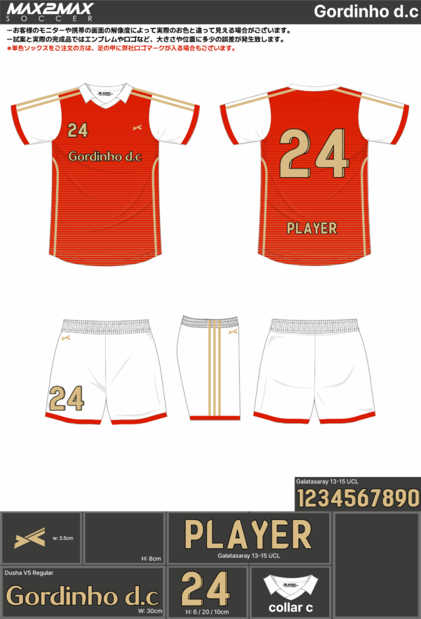 250418_Gordinho d.c_FP/GKサッカー見積書 - 画像 (2)