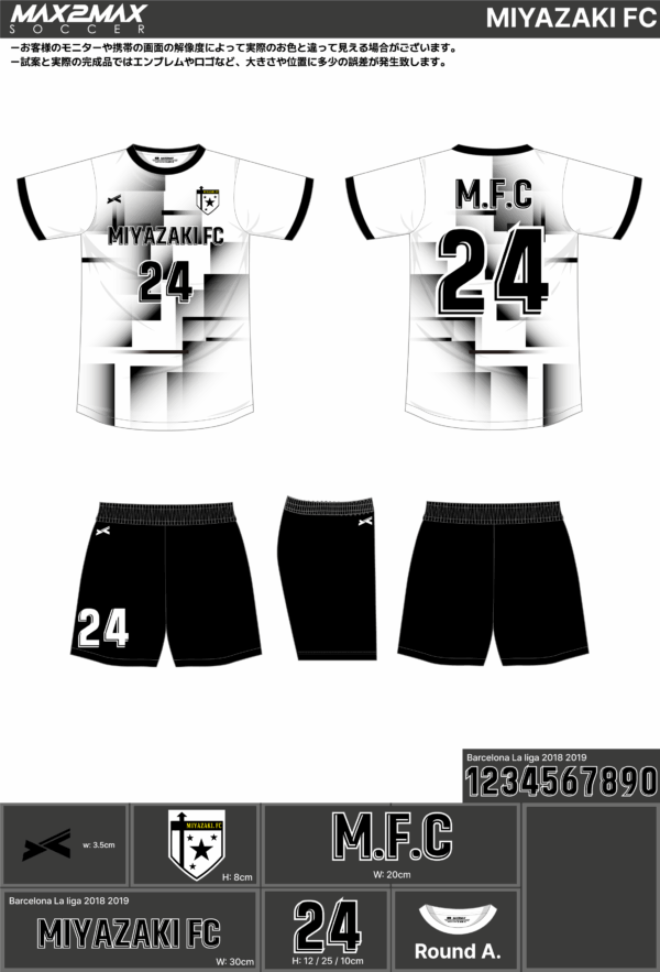 250428_MIYAZAKI FC_FP/GKサッカー見積書 - 画像 (3)
