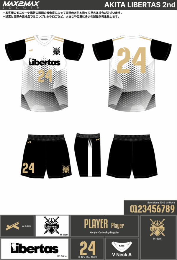 250509_AKITA LIBERTAS_1st/2nd/GKサッカー見積書 - 画像 (2)