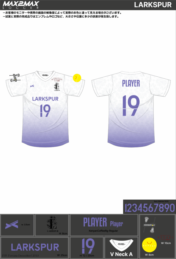 250513_LARKSPUR_サッカー追加見積書 - 画像 (2)