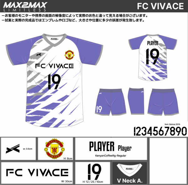 250522_FC VIVACE_FP/GK_サッカー追加見積書 - 画像 (3)