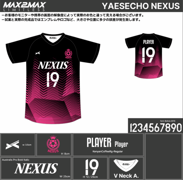 250602_YAESECHO NEXUS_サッカー追加見積書 - 画像 (2)