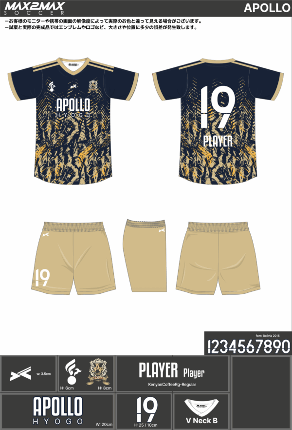 250611_APOLLO_サッカー見積書 - 画像 (2)