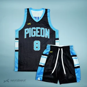 pigeon_Reversible_1st4