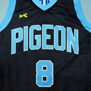 pigeon_Reversible_1st6