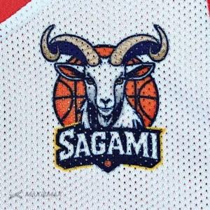 SAGAMI_Reversible_1st3