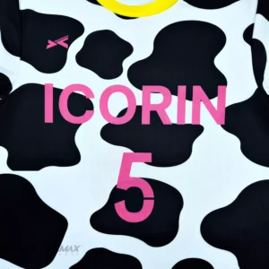 ICORIN_1st2