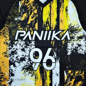 PANIIKA_2nd1