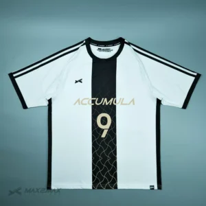 Accumula_1st1
