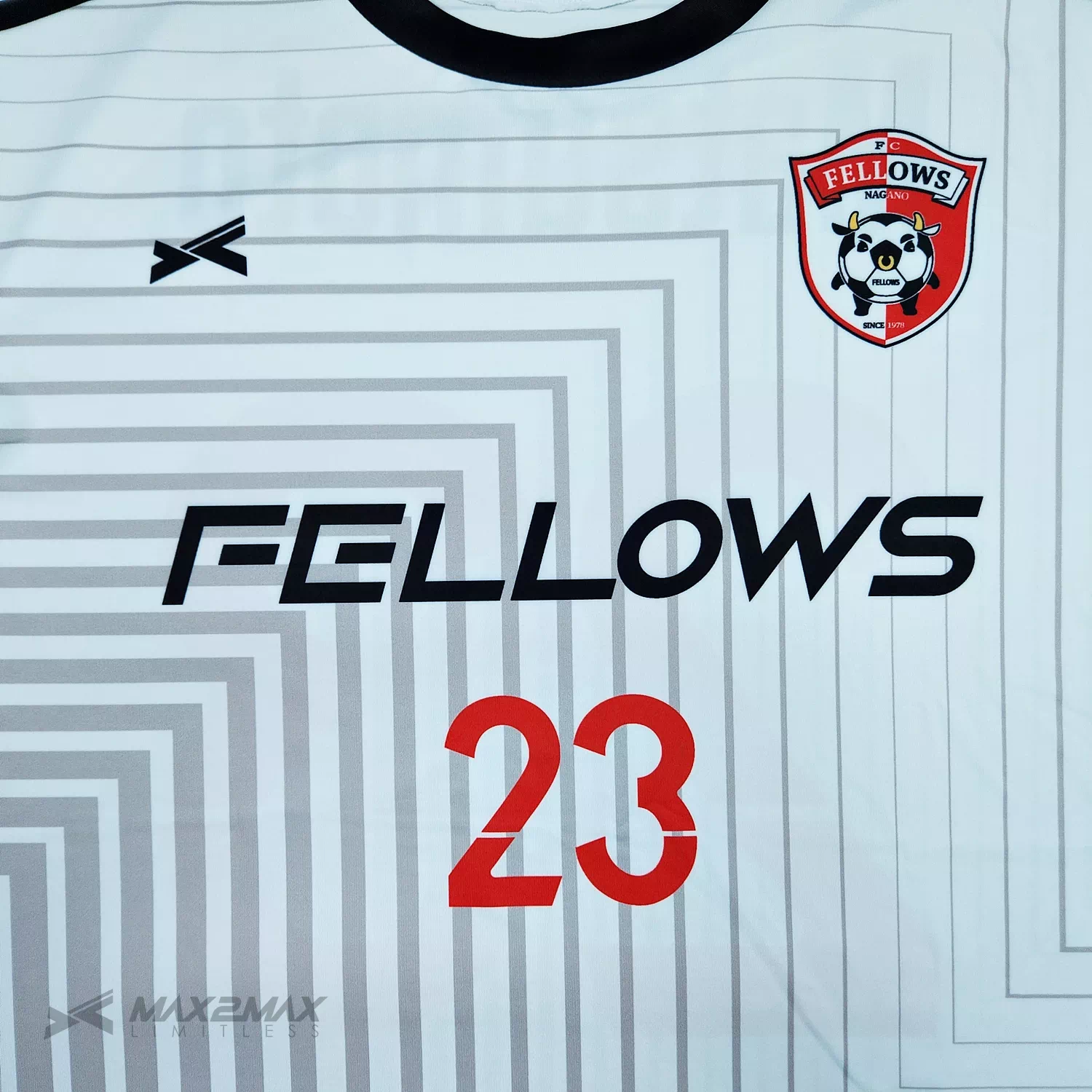 FELLOWS_2nd1