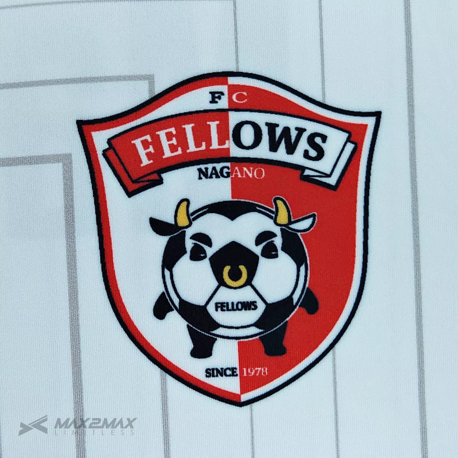 FELLOWS_2nd2