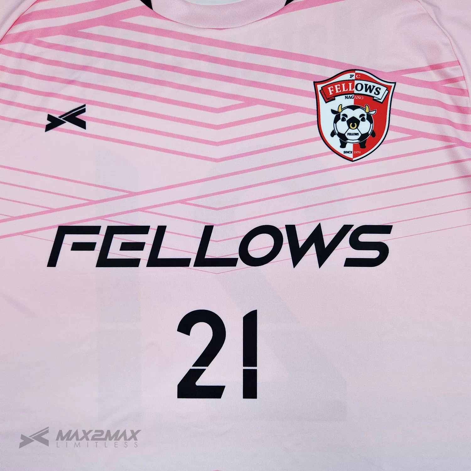 FELLOWS_GK_1st1
