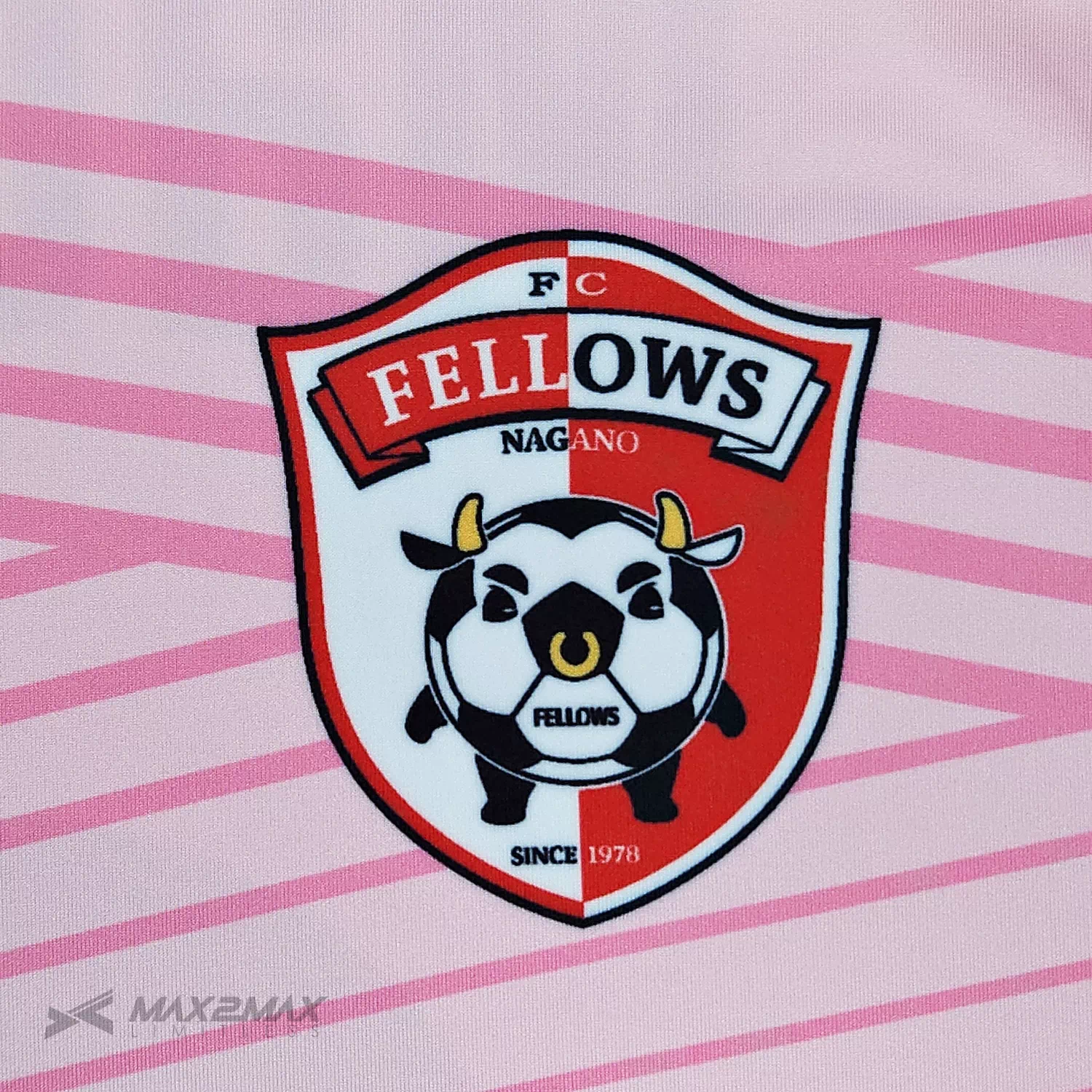 FELLOWS_GK_1st2