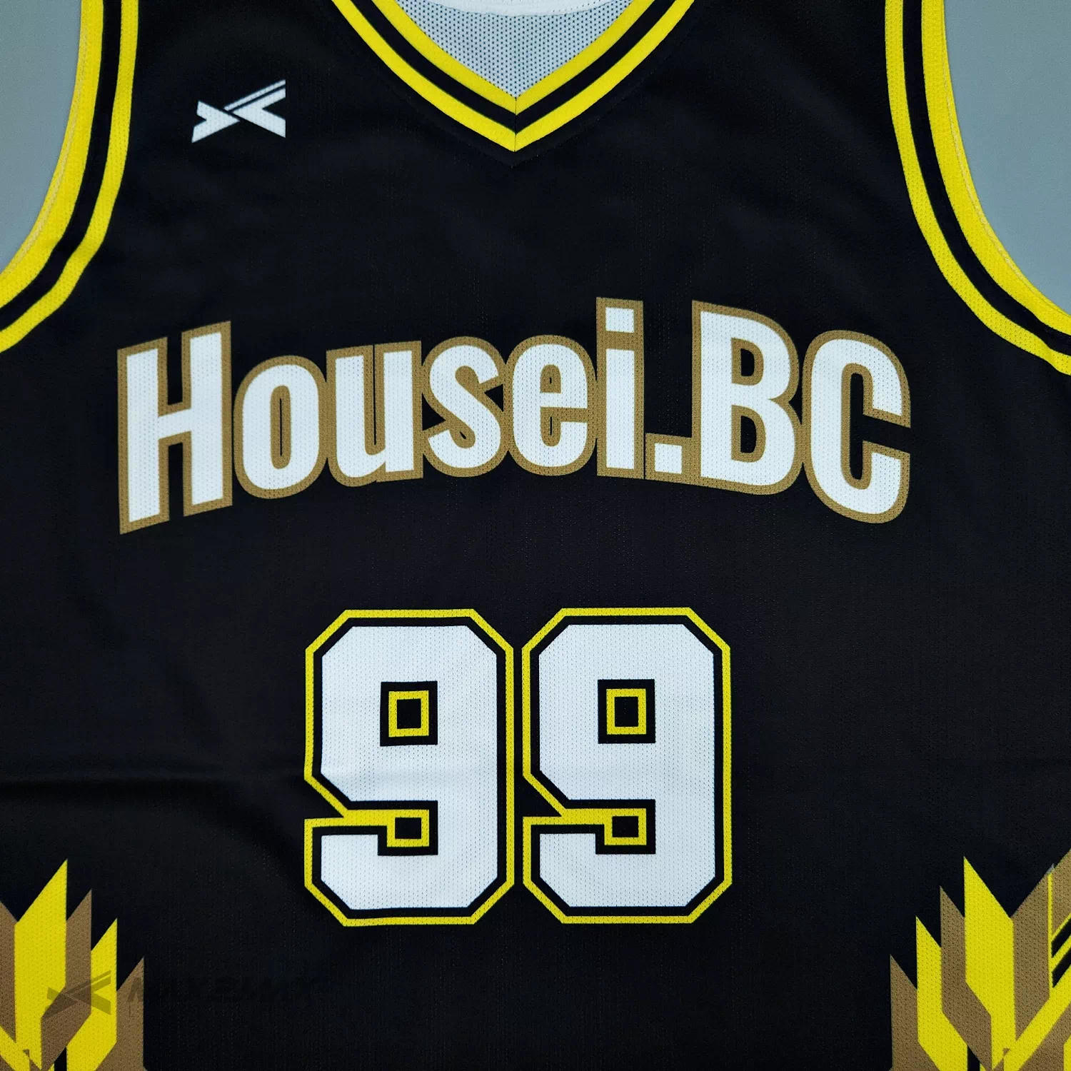 Housei.B.C_1st2